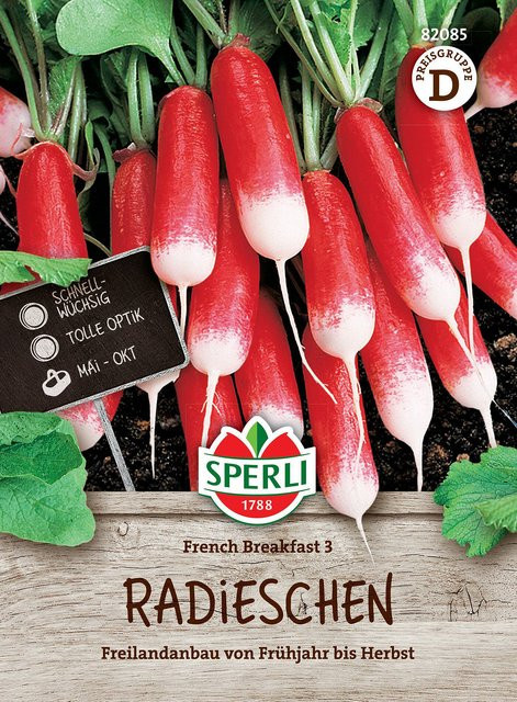 SPERLI Radieschen-Samen French Breakfast 3 - Bild 1