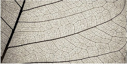 mySPOTTI Rückwand Struktur in Weiß, B: 90 cm, H: 45 cm - Bild 1