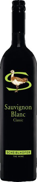 Weingut Scheiblhofer Sauvignon Blanc Weißwein, Burgenland, 2024, trocken, 0,75 l - Bild 1