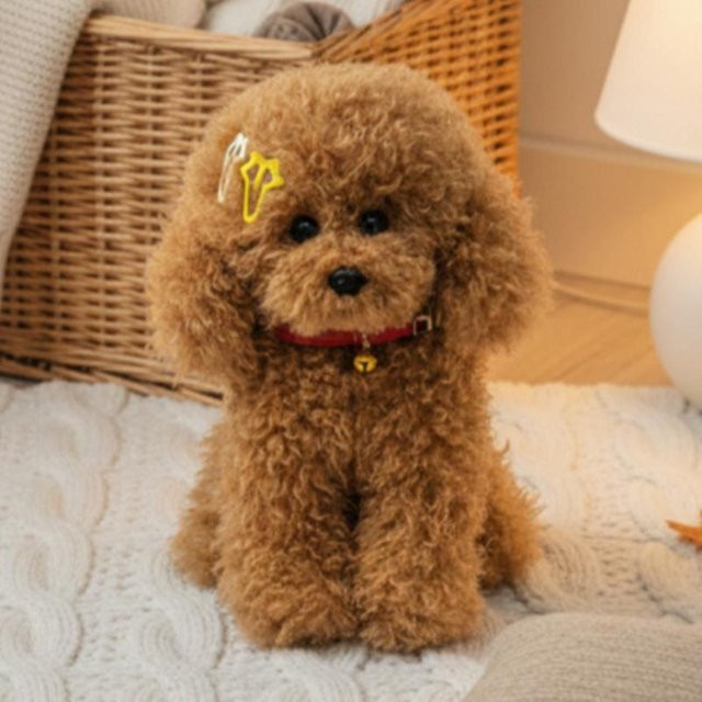 Yiran Health & Beauty Simulation Glocke Teddyhund Plüschtier, 30cm - Bild 1