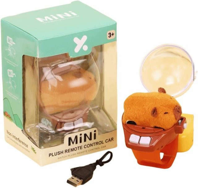 ZJSmichen RC Auto Capybara Hase Rennspielzeug USB-Aufladung ab 3 Jahren - Bild 1