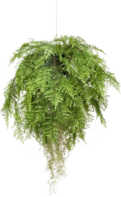 Künstlicher Hänge-Farn Jule von Aplanta, Grün, Höhe: 80 cm - Bild 1