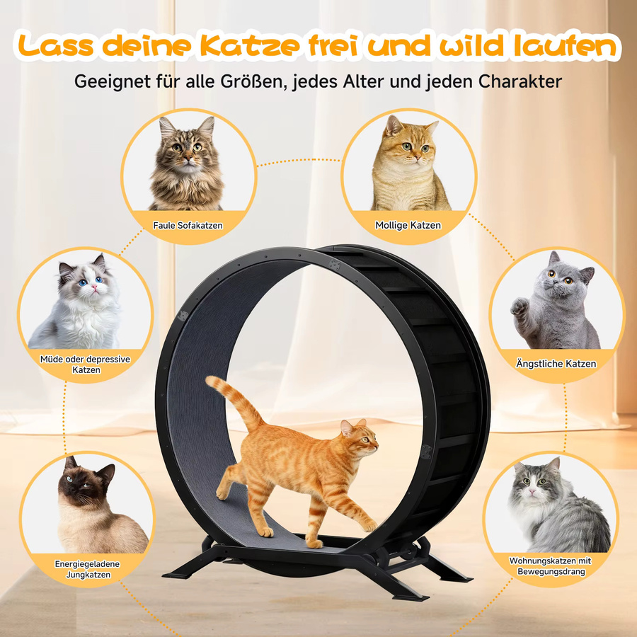 GTPLAYER Katzenlaufrad in Schwarz mit abnehmbarem Teppich und Teaser für Wohnungskatzen - Bild 3
