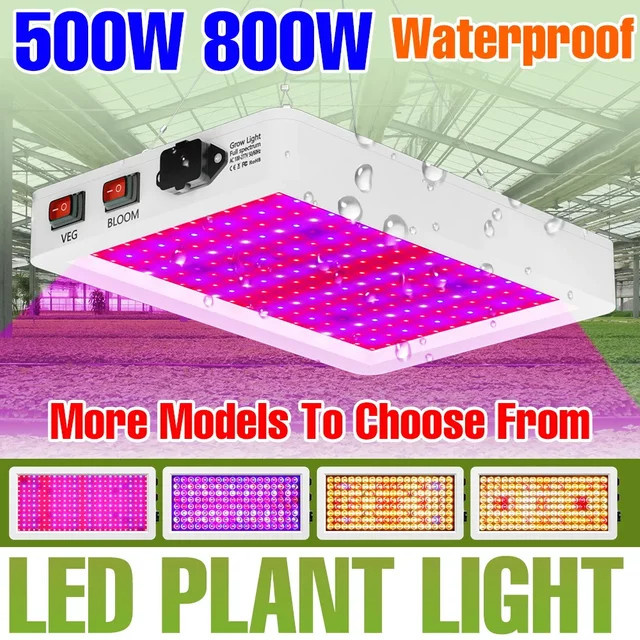 NJHIKG 800W LED Vollspektrum-Wachstumslampe Quantum Board mit UV/IR für Hydroponik und Gewächshaus-Zelte in Weiß - Bild 1