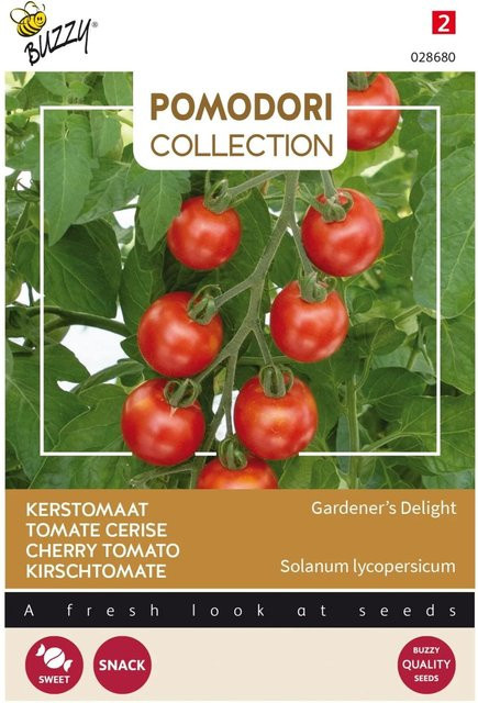 Arborix Buzzy Pomodori Cherry Tomaten Samen für die Innenaussaat, 0,1 g - Bild 1