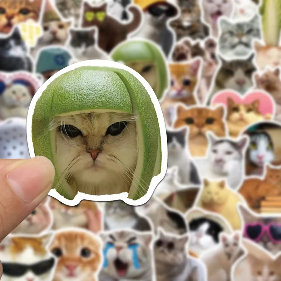 Rspctou Katzen-Meme Aufkleber Set, bunte Cartoon-Graffiti-Sticker für Computer, Koffer und Handy, wasserfest und dekorativ - Bild 4