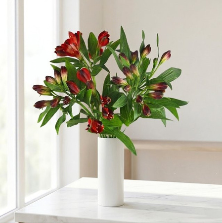Alstromeria Lily Strauß Red