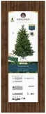 EVERLANDS Weihnachtsbaum Nordmann Tanne in Grün, Durchmesser: 130 cm, Höhe: 180 cm - Bild 1