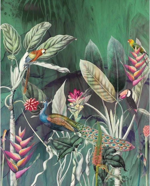 Komar Fototapete Vlies Jungle Chat in Multicolour, Breite: 200 cm, Höhe: 250 cm - Bild 1