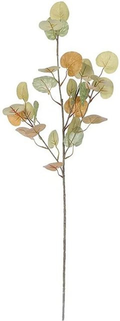 Flower Power Kunstblume Eukalyptuszweig in Grün, Höhe: 72 cm - Bild 1