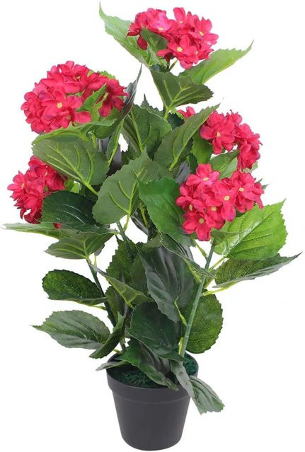 Künstliche Hortensie von furnicato in Rot mit Kunststofftopf, Höhe: 60 cm - Bild 1