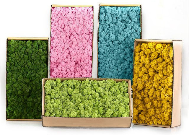 Uflower Künstliches Moosgras in Grün für DIY-Handwerk und Gartendekoration - Bild 1