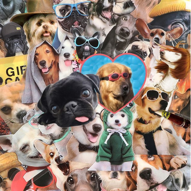 50 Stück wasserfeste Hunde-Emoji-Aufkleber von YourLife Store in transparent und multicolour - Bild 1