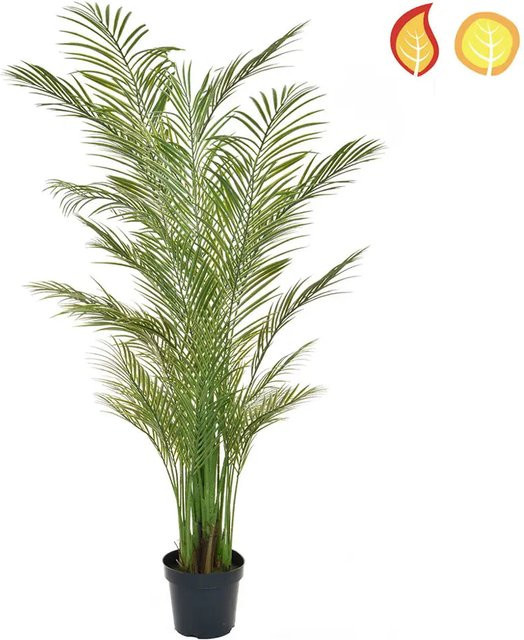Künstliche Areca Palme Wolfgang von artplants in Grün, Höhe: 210 cm - Bild 1