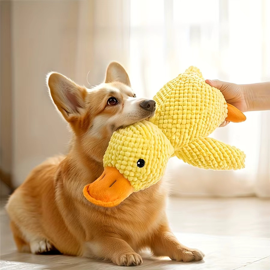 DUTRIEUX Enten-Hundespielzeug, Plüsch-Kauspielzeug, quietschend, bissfest - Bild 2