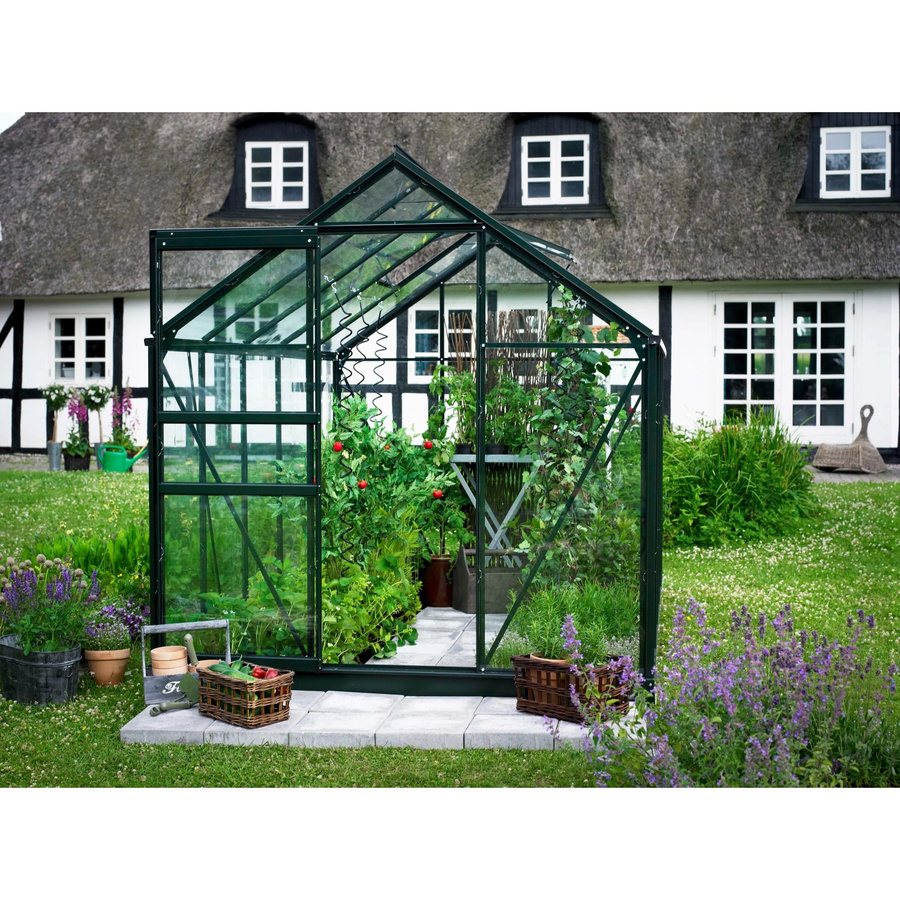 Halls Gewächshaus Popular in Grün mit 6,2 m² und 3 mm Sicherheitsglas - Bild 2
