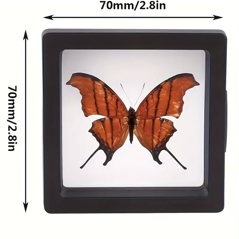 10er Set Schmuck-Aufbewahrungsboxen aus Kunststoff in Transparent, Schwarz und Lila mit 3D-Display-Funktion und Staubschutz - Bild 4