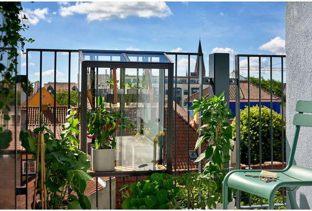 Juliana Gewächshaus Urban Balcony in Schwarz mit 3 mm Sicherheitsglas, B/T: 27 x 60 cm - Bild 1