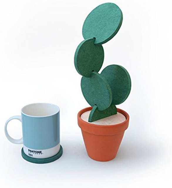 6er Set Kaktus-Untersetzer von buyyes in Grün mit Halterung, runde Tassenuntersetzer für Kaffee und Tee zur Tischdekoration - Bild 1