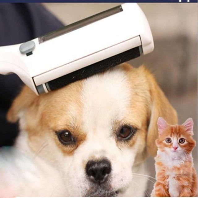 YJSTY Tierhaarentferner Reinigungsbürste für Hunde und Katzen, elektrostatische Fuzzentfernung, weiß/schwarz - Bild 1
