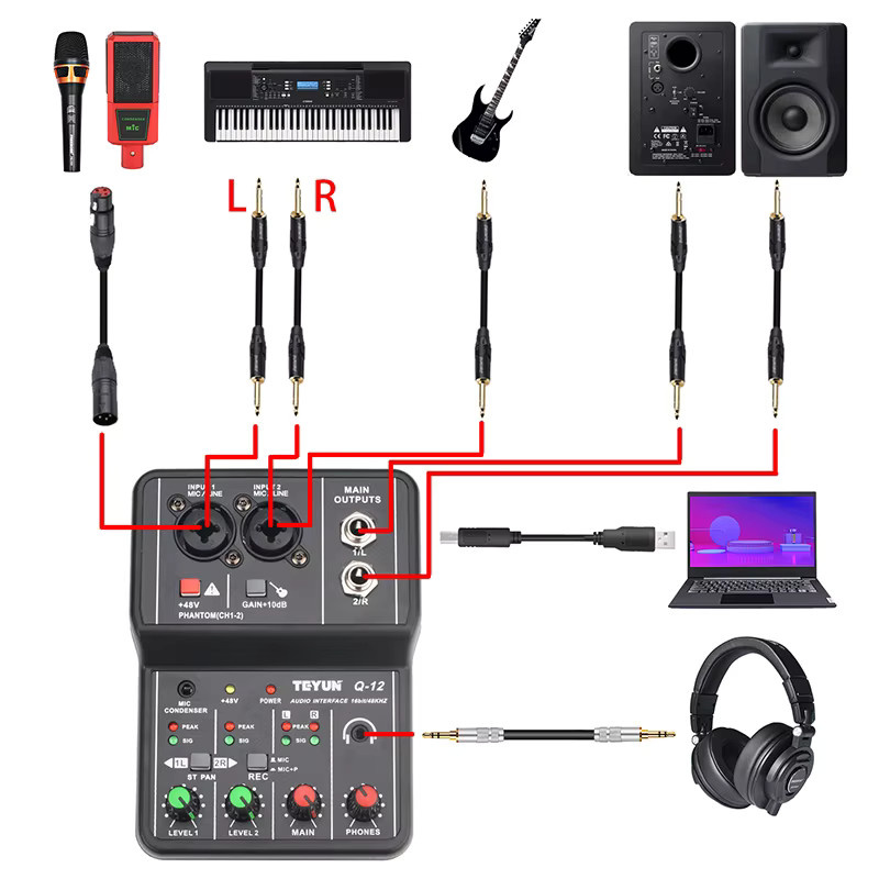 TEYUN Q-12 USB-Audio-Schnittstelle in Schwarz mit 2 Mikrofoneingängen für Studio und Heimaufnahme, 16 Bit, 48 kHz - Bild 6