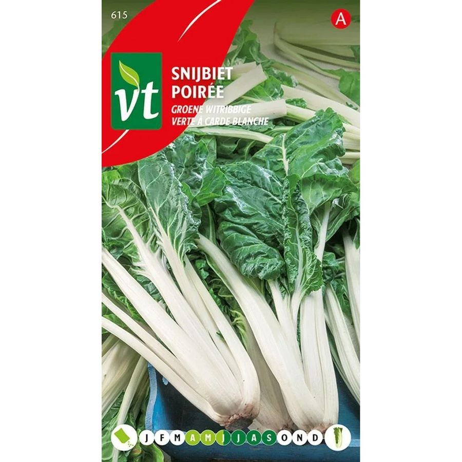 Arborix Rote Bete Grün-Weiß Saatgut 4 g - Bild 2