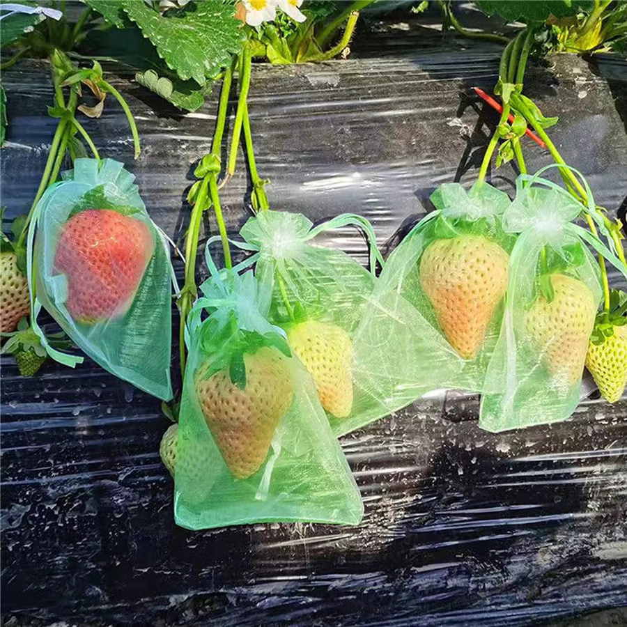 Wiederverwendbare Organza-Netzbeutel in Grün als Traubenschutzbeutel und Schädlingsbarriere für Obst und Gemüse mit Kordelzug - Bild 4