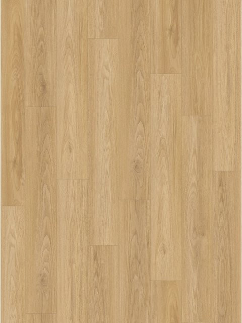 Parador Basic 400 Laminat Hickory in Braun, wasserfest, 8 mm Stärke - Bild 1