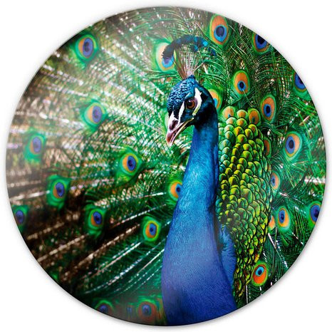 K&L Wall Art Glasbild Retro Pfau Pfauenfeder Blau in Mehrfarbig, Durchmesser: 50 cm - Bild 1
