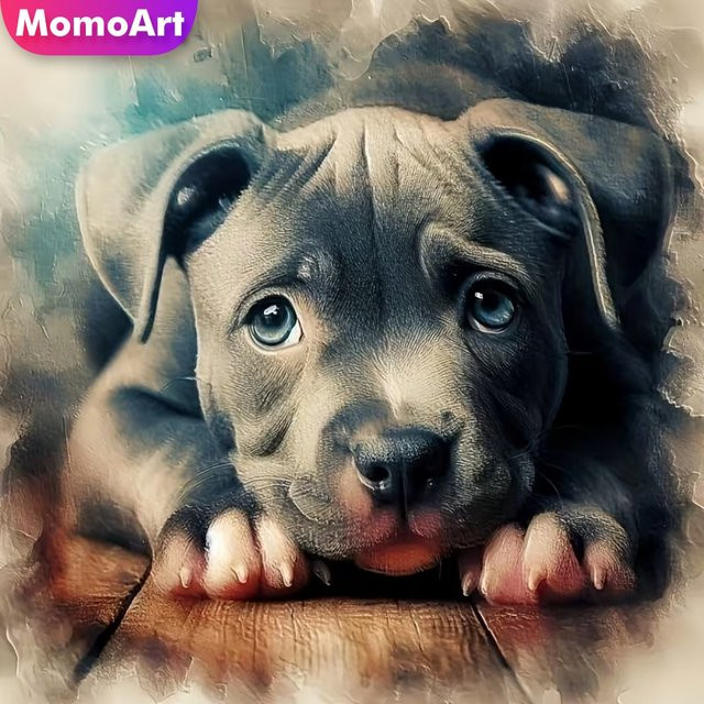 Momoart Diamant-Gemälde Hund DIY-Strass-Mosaik Set für Kreuzstich und Stickerei, Breite: 20 cm, Höhe: 20 cm - Bild 1
