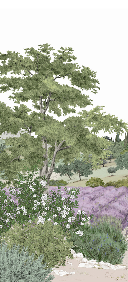 Isidore Leroy Mural Provence Été Wandtapete mit botanischem Sommer-Motiv in Mehrfarben - Bild 2