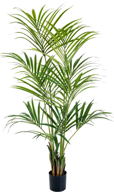 Künstliche Kentia Palme Cataleya von Aplanta, Höhe: 172 cm - Bild 1