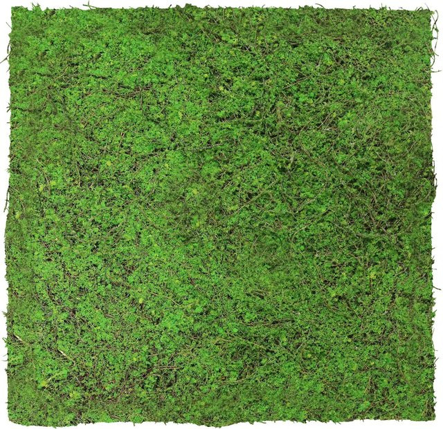 Jangal Wandpaneel Modular Wall Ancient Tree in Grün, B/H: 52 x 52 cm - Bild 1