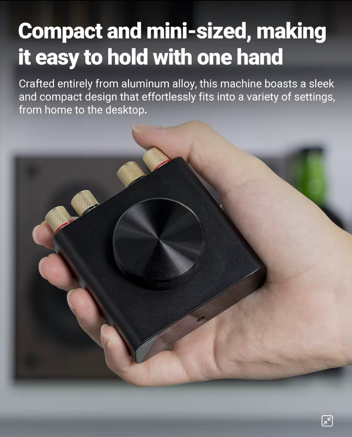 NEOHIPO BP10 Mini Bluetooth 5.0 Verstärker in Schwarz mit 50Wx2 Stereo oder 100W Mono für Bass-Shaker und passive Lautsprecher - Bild 3