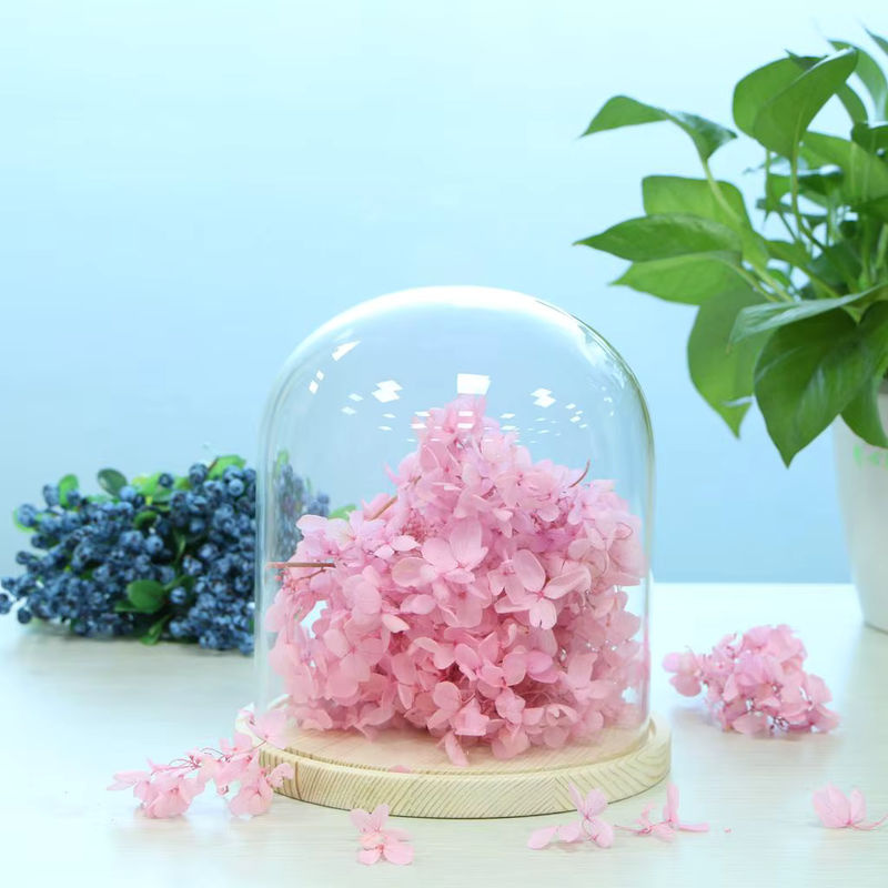 Kesoto Glasgefäßkuppel mit braunem Holzsockel, runde Mikro-Landschaftshalter Vase im skandinavischen Design, transparent - Bild 5