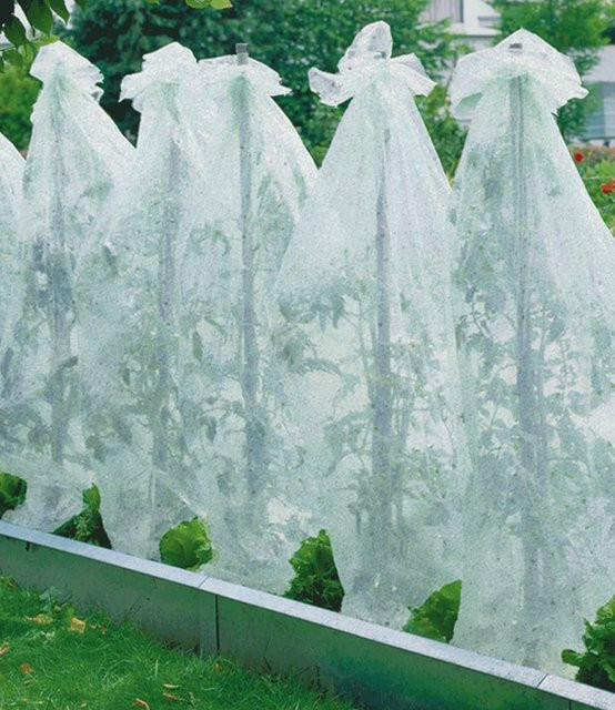Tomaten-Vlieshaube 5 m - Bild 1