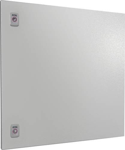 Rittal SV 9682.166 Teiltür aus Stahl in Grau, B: 60 cm, H: 60 cm - Bild 1