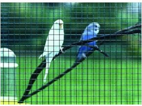 CASANET Maschendraht aus verzinktem Stahl in Grün für den Garten, 5 m Länge, Höhe: 1,0 m, Breite: 0,65 m - Bild 1