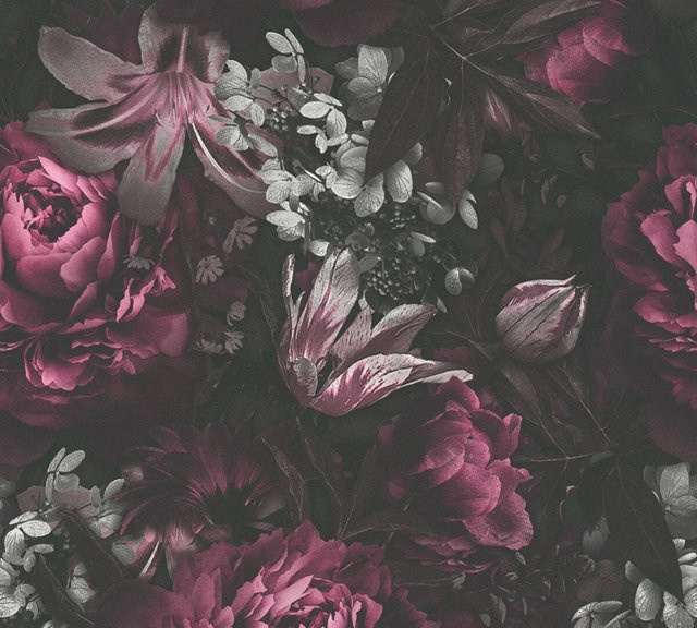 A.S. Creation Vliestapete Floral in Lila und Schwarz B/H: 0,53 x 10,05 m - Bild 1
