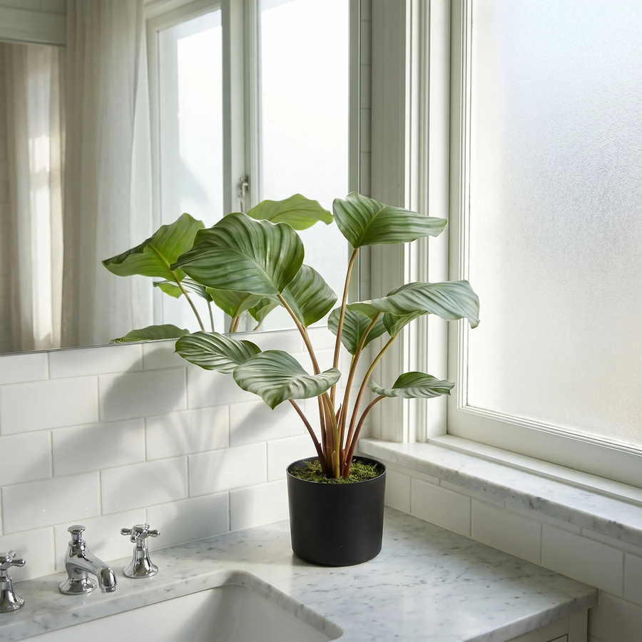 Künstliche Calathea Silvina von artplants in Grün, Höhe: 45 cm - Bild 3