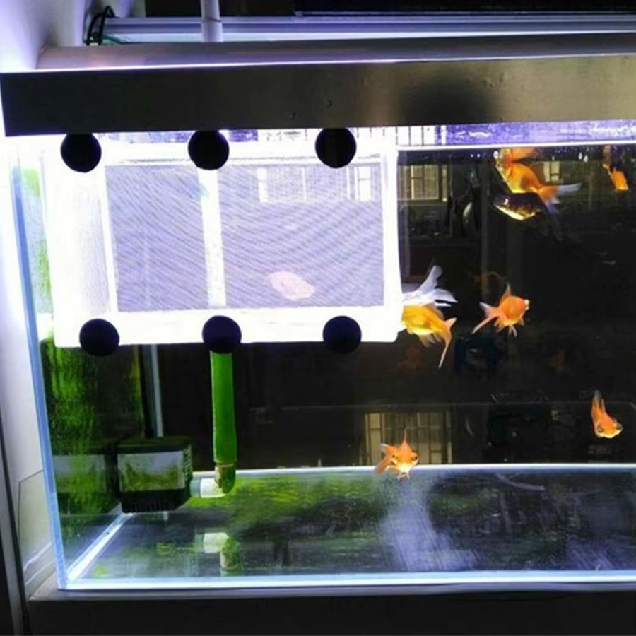 KITPIPI Fischzucht-Inkubator-Netz zur Isolation von Fischen in Weiß - Bild 4