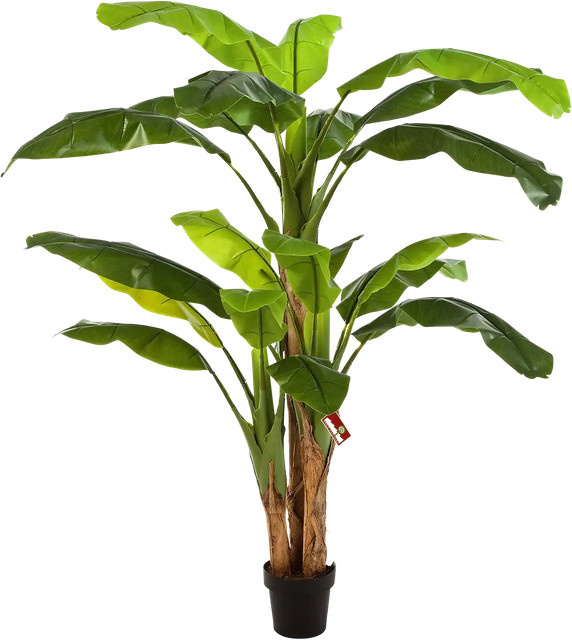 Künstlicher Bananenbaum Pauline von Aplanta, Höhe: 180 cm - Bild 1