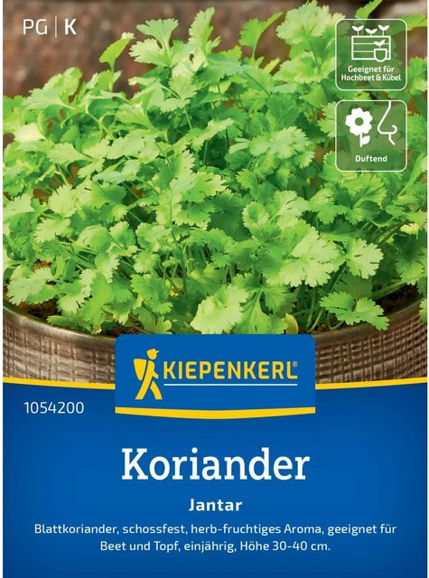 Kiepenkerl Profi-Line Koriander Jantar Gewürzkraut Samen - Bild 1