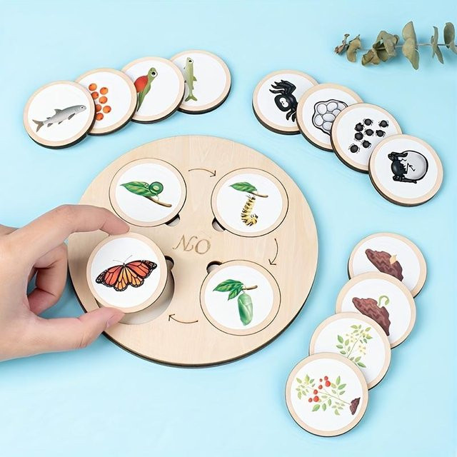 Wucifang Bags Tierlebenszyklus Tafel, Lernmittel, Kinderspielzeug - Bild 1