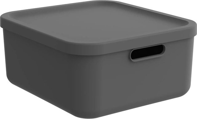 Rotho Multibox Albula 20 Aufbewahrungsbox in Anthrazit - Bild 1