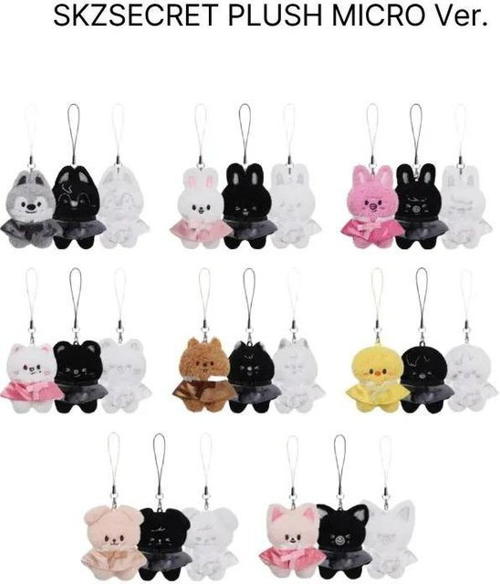 JYP-Unterhaltung Stray Kids Welt Tour RUN IT SEOUL MD 003 Type: SECRET PLUSH MICRO Ver. Plüschtier - Bild 1