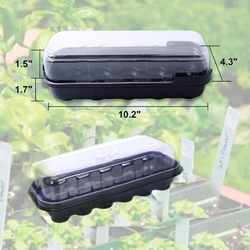 Transparente Samenschale aus Kunststoff mit 12 Zellen für die Anzucht von Pflanzen und Sämlingen im Garten, B: 25,9 cm, T: 10,92 cm, H: 12,0 cm - Bild 6