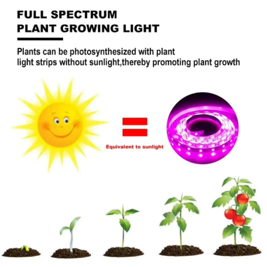RnnTuu USB Wasserdichte LED Phyto Lampe mit Vollspektrum für Pflanzen, Gemüse und Blumen, 5m Länge - Bild 2