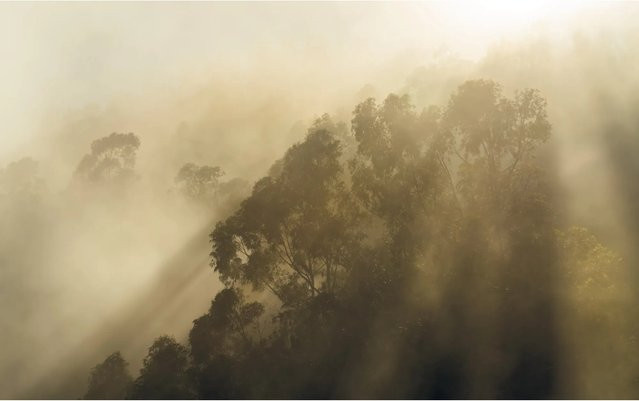 Komar Fototapete Misty Mountain aus Vlies, Breite: 400 cm, Höhe: 250 cm - Bild 1