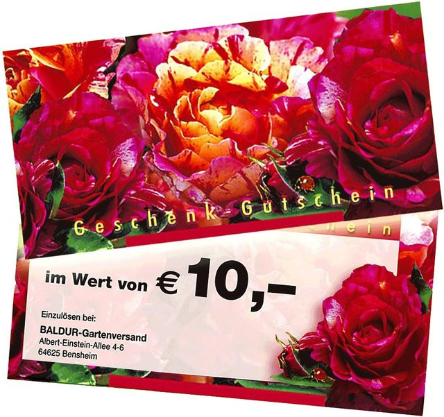 Geschenk-Gutschein im Wert von 10,- EUR - Bild 1